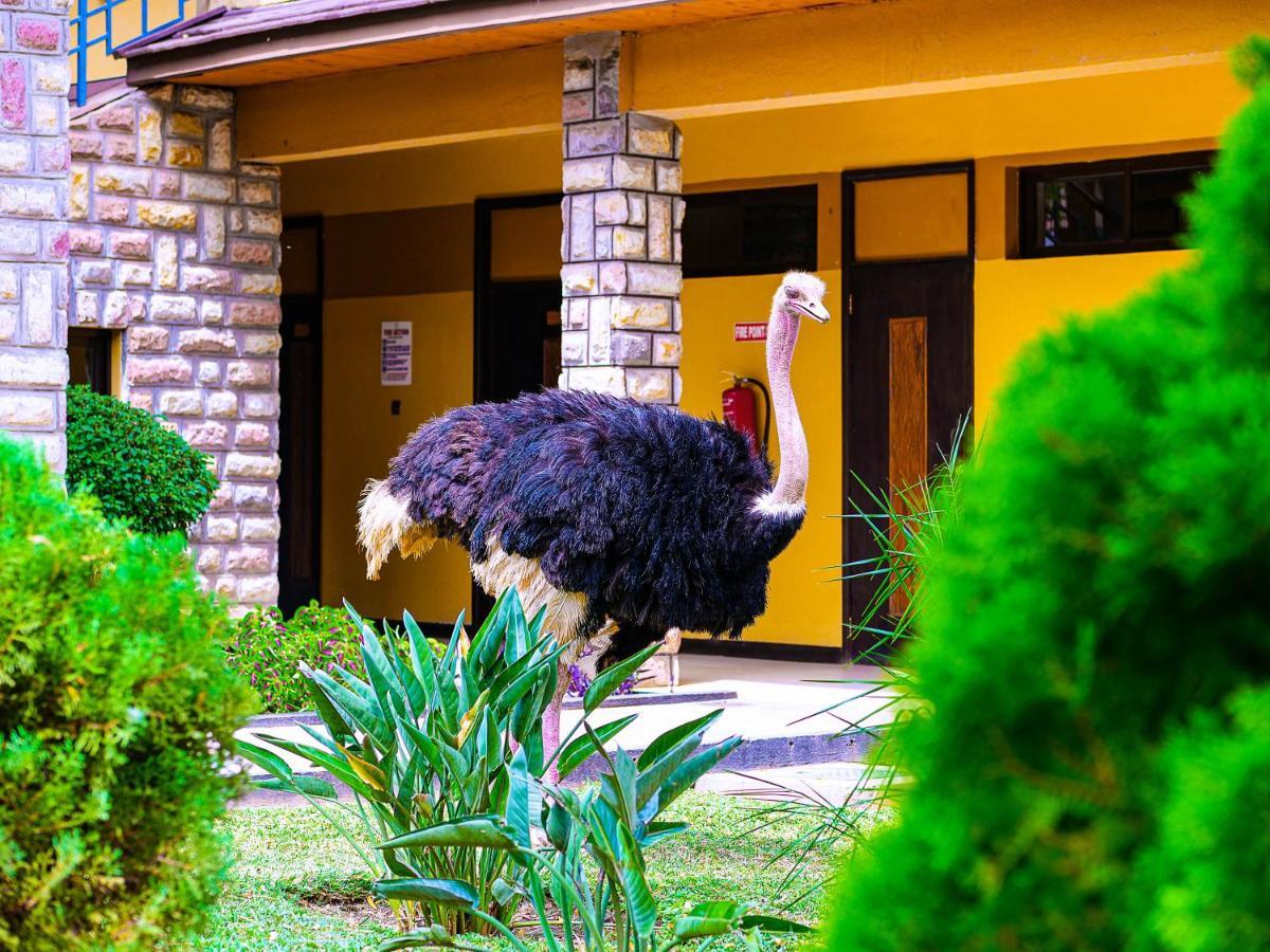 Lake Bogoria Spa Resort Marigat Exterior foto